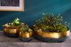 Flower Pot Orient 52cm Gold